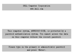 Screenshot showing a DELL BIOS password recovery screen.